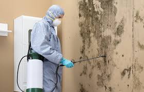 Best Comprehensive Air Testing for Mold Contaminants in Wolcott, IN